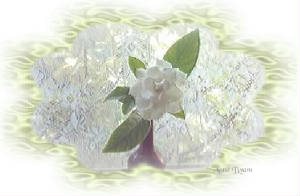 gardeniabemb4x.jpg
